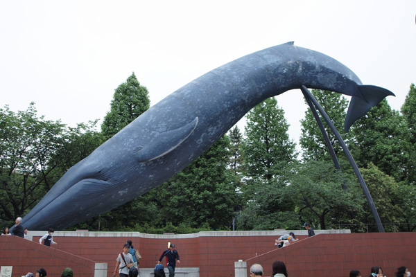 日本館前のシロナガスクジラ