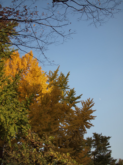 山下公園入り口付近