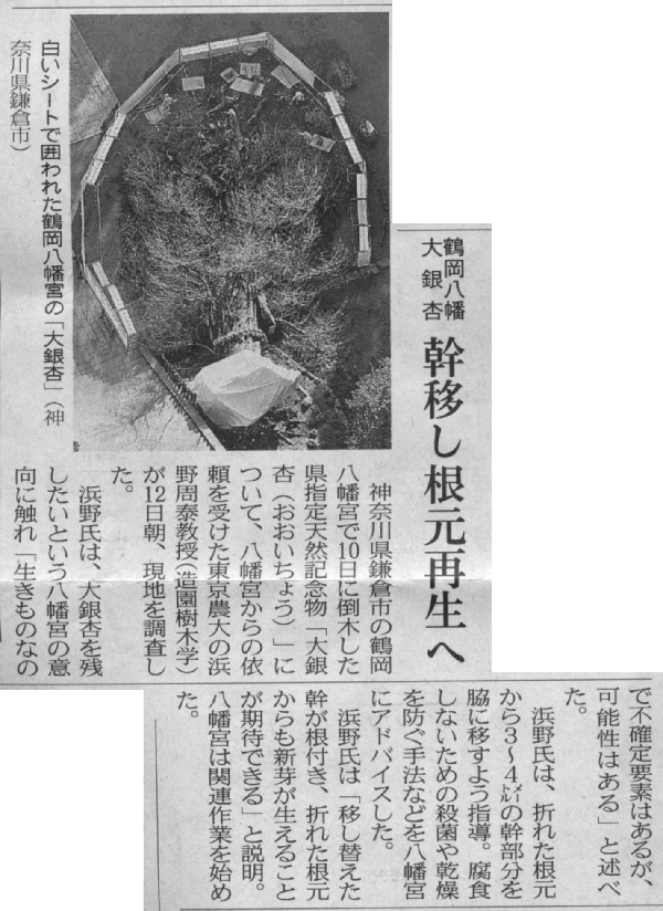 日経新聞、2010年3月12日夕刊